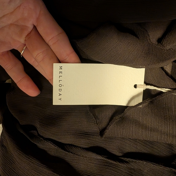 Sheer Black Ruffle Blouse - Picture 4 of 9